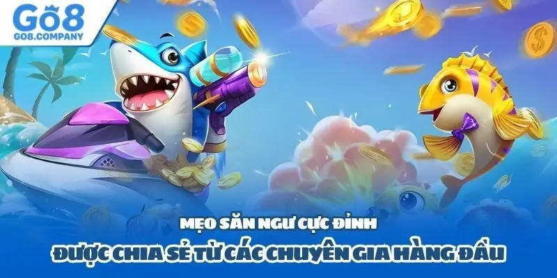 Mẹo săn ngư cực đỉnh được chia sẻ từ các chuyên gia hàng đầu